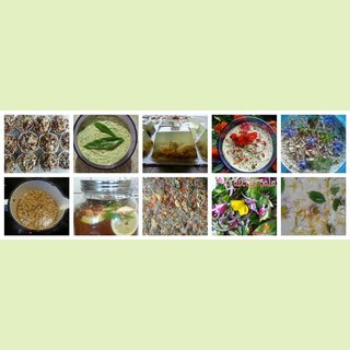 Workshops