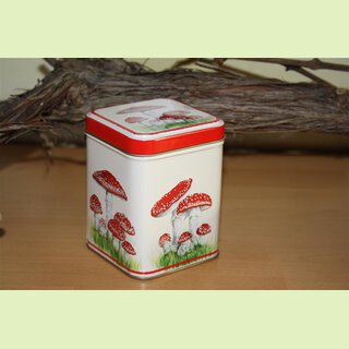 Fliegenpilz