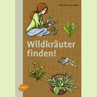 Wildkräuter finden