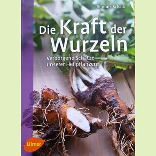 Die Kraft der Wurzeln